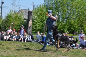 В Ирбите сотрудники полиции познакомили школьников с профессией полицейского.